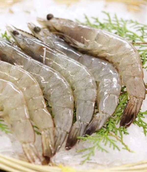 Premium quality Shrimp For wholesale at Best Market Price - Image 4