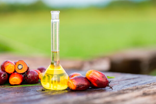 Premium Palm Oil 100% Halal We Export Worldwide at best Price - Image 10