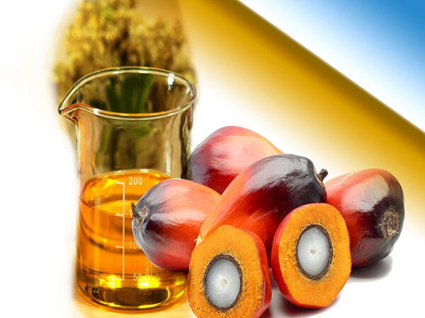 Premium Palm Oil 100% Halal We Export Worldwide at best Price - Image 11