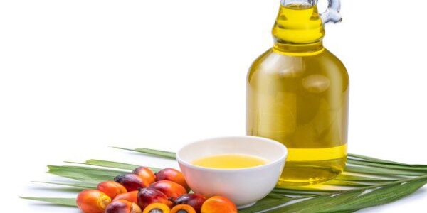 Premium Palm Oil 100% Halal We Export Worldwide at best Price - Image 12