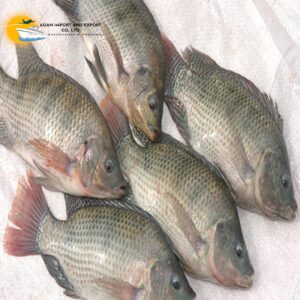 Frozen Tilapia