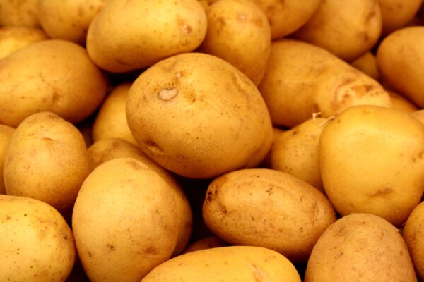 Wholesale Fresh Potato Best Product top quality best market price - Image 3