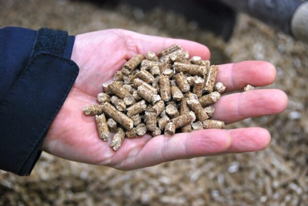 Biomass Wood Pellets 6mm 8mm High Quality Wood Pellet - Image 9