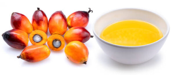 Wholesale Palm Oil Best quality palm oil in the market at low price - Image 5