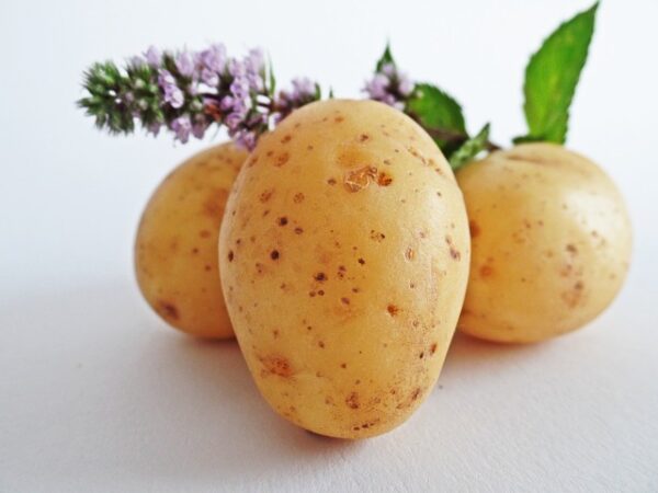 Wholesale Fresh Potato Best Product top quality best market price - Image 5