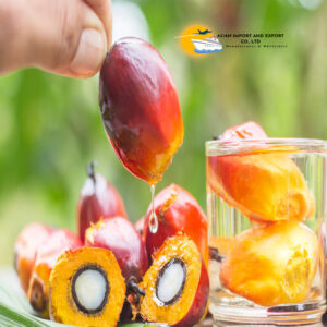 Palm Oil