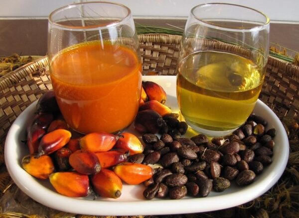 Premium Palm Oil 100% Halal We Export Worldwide at best Price - Image 2