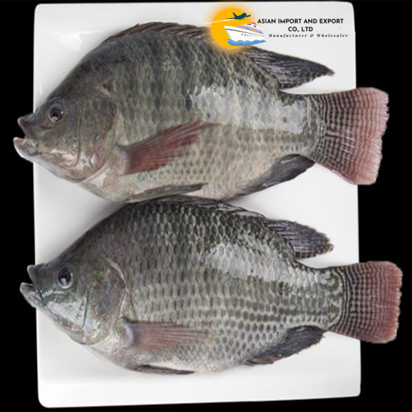 Frozen Tilapia