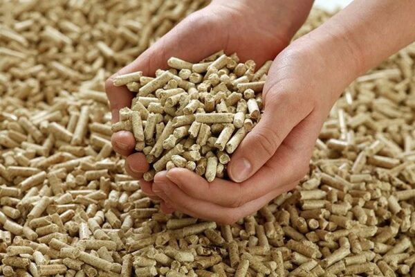 Biomass Wood Pellets 6mm 8mm High Quality Wood Pellet - Image 3