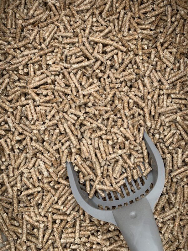 Biomass Wood Pellets 6mm 8mm High Quality Wood Pellet - Image 5