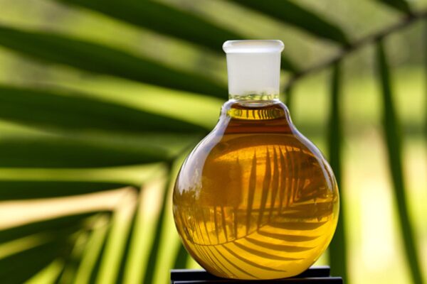 Halal Palm oil 100% Refined Palm Oil wholesale at best price - Image 8