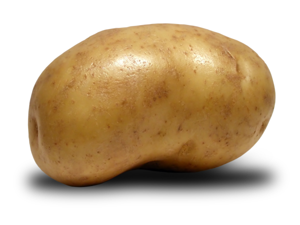 Wholesale Fresh Potato Best Product top quality best market price - Image 10