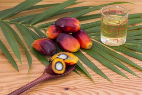 Halal Palm oil 100% Refined Palm Oil wholesale at best price - Image 5