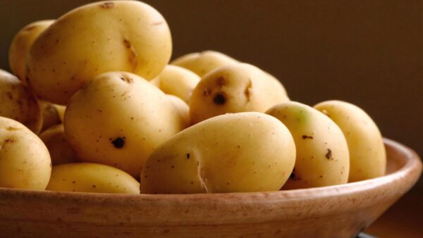 Wholesale Fresh Potato Best Product top quality best market price - Image 11