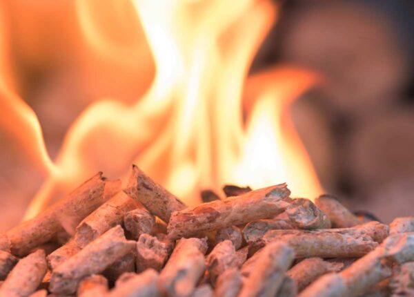 Biomass Wood Pellets 6mm 8mm High Quality Wood Pellet - Image 10