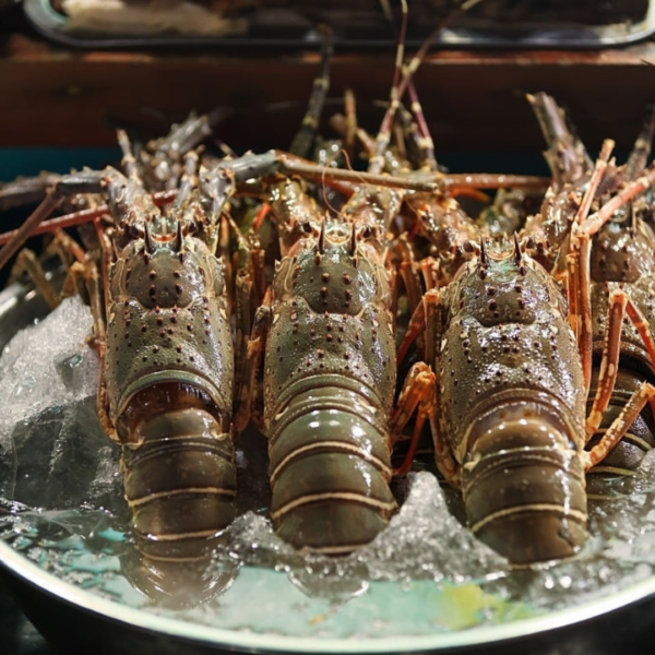 Frozen lobster Healthy Seafood Items with High Quality For sale - Image 2