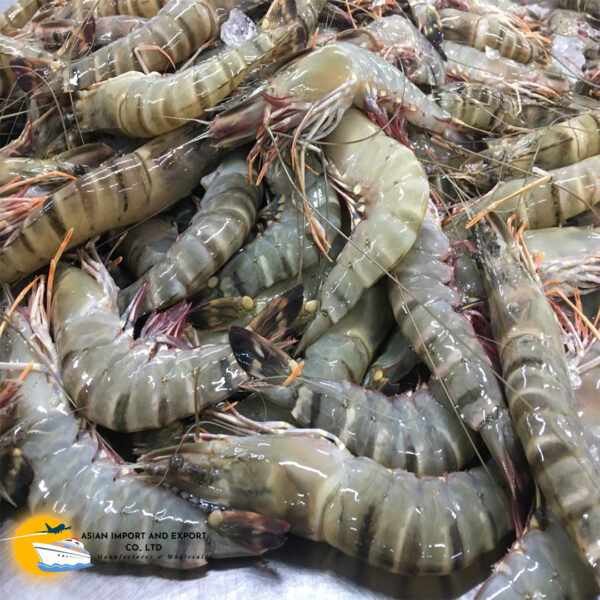 Fresh shrimp