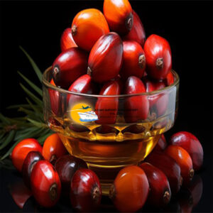 Palm Oil