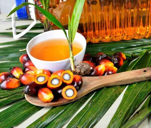 Halal Palm oil 100% Refined Palm Oil wholesale at best price - Image 2