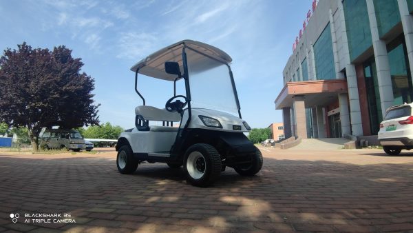 Electric power golf cart electric cart for wholesale at low price - Image 4