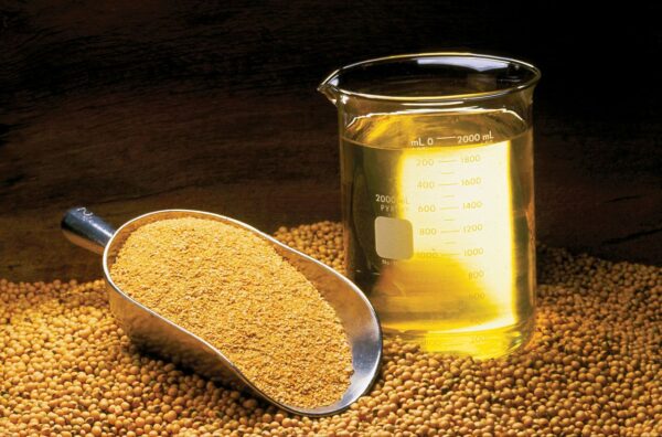 Cooking Soybean Oil Good Quality Natural Soya Beans Soybean - Image 4