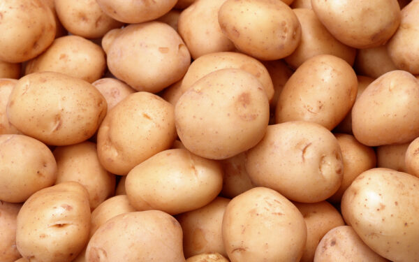 White Potato New Crop delicious 100% halal Potato at low price - Image 7