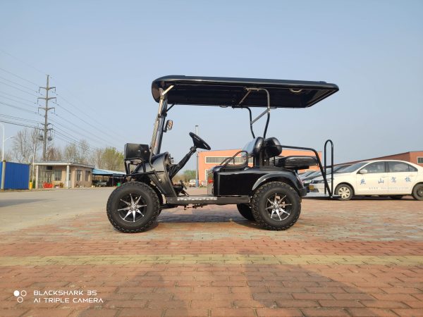 Wholesale New Golf Cart Body Electric Suspension For Sale - Image 2