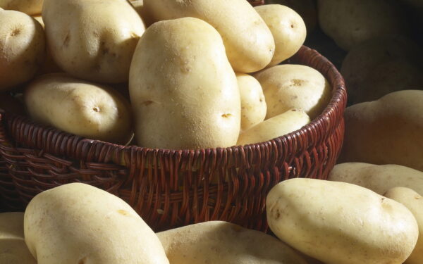 White Potato New Crop delicious 100% halal Potato at low price - Image 8