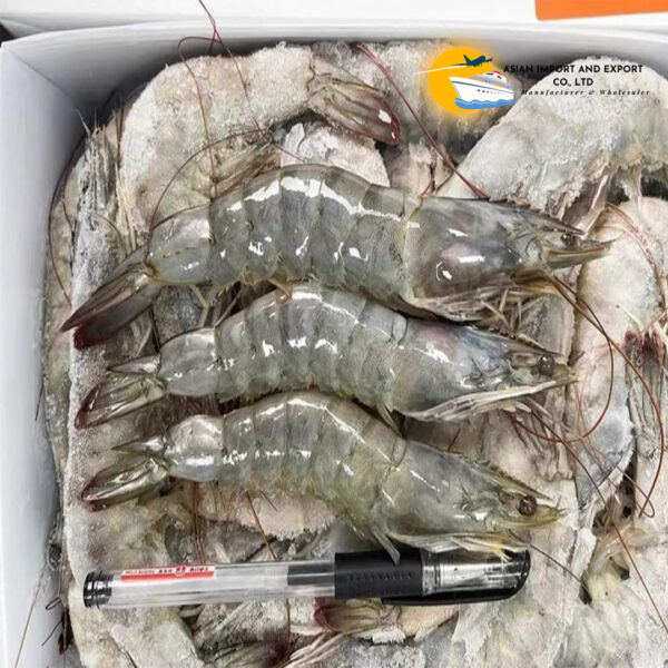 Fresh shrimp