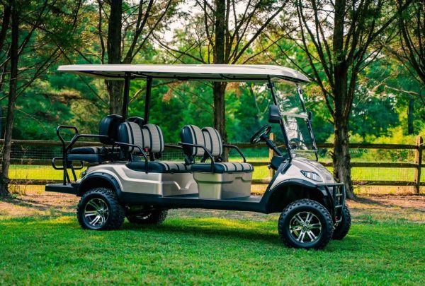 Affordable Golf Electric Carts 6 seater off road golf cart for sale - Image 2