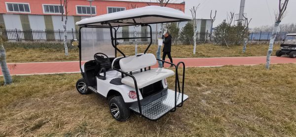 Best electric golf cart with good price for wholesale worldwide - Image 2