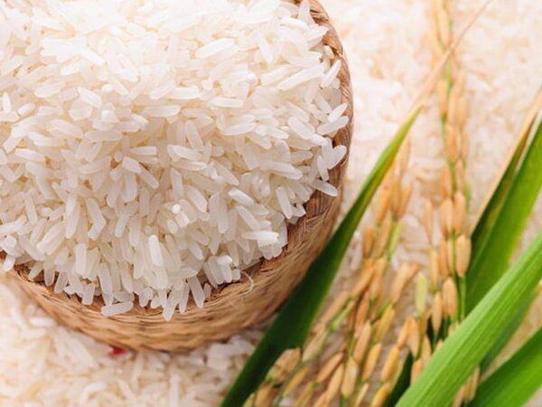 Hot Sale Basmati Rice Best Quality Long Grain White Basmati Rice - Image 13