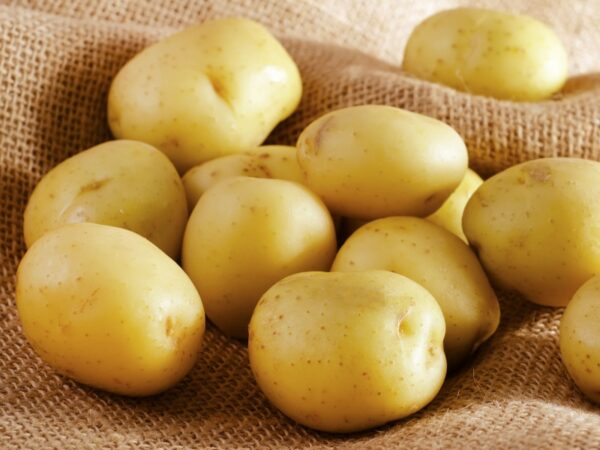 White Potato New Crop delicious 100% halal Potato at low price - Image 4