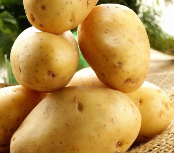 Red Potato New Crop delicious 100% halal Potato at low price - Image 6