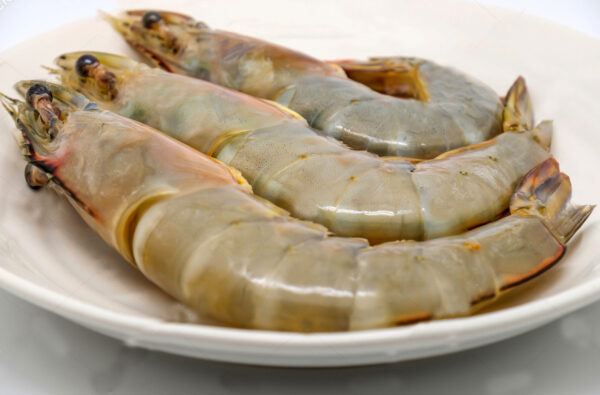 Frozen Shrimp Premium quality For wholesale at Best Market Price - Image 13