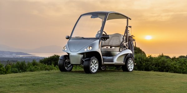 Wholesale Golf Cart New Designed Electric Lithium Golf Cart - Image 2