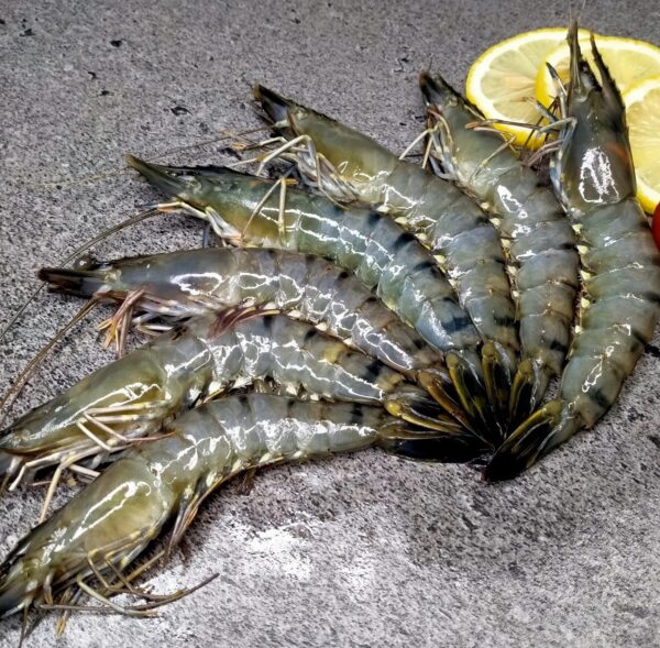 Black Shrimp Wholesale 100% Fresh Quality Best Delicious Food - Image 4