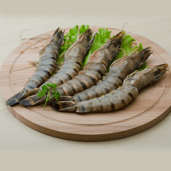 Frozen Fresh Shrimp in Reasonable price Well Trimmed Shrimp - Image 10