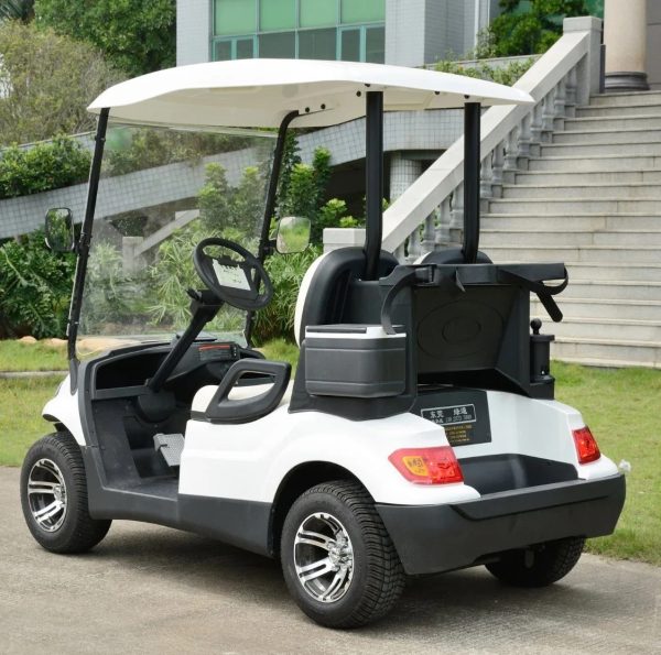 Wholesale Golf Cart New Designed Electric Lithium Golf Cart - Image 6