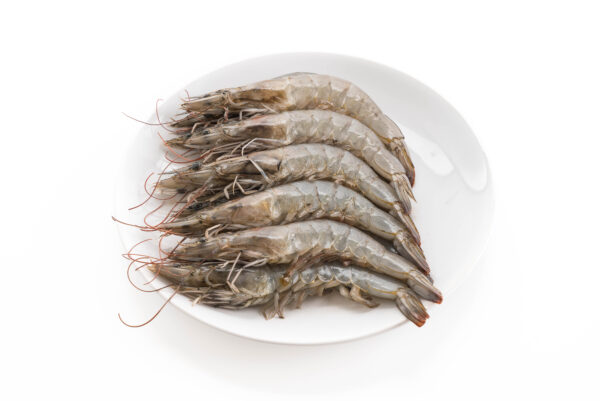 Fresh Frozen Shrimp fish Seafood Wholesale Suppliers Price - Image 9