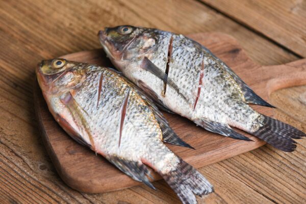 Block Frozen Tilapia in Reasonable price Well Trimmed Tilapia - Image 3