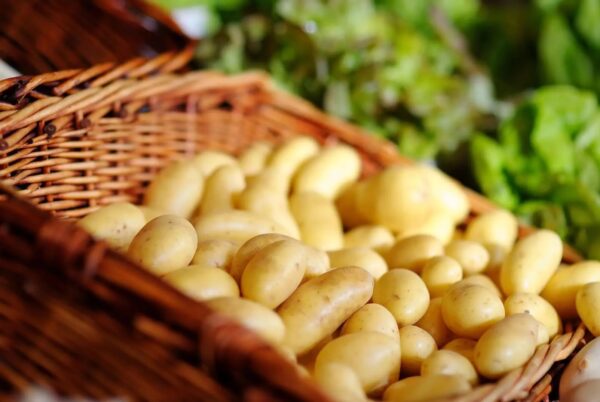 Fresh Potato New Crop Natural Origin Weight Holland Potato - Image 9