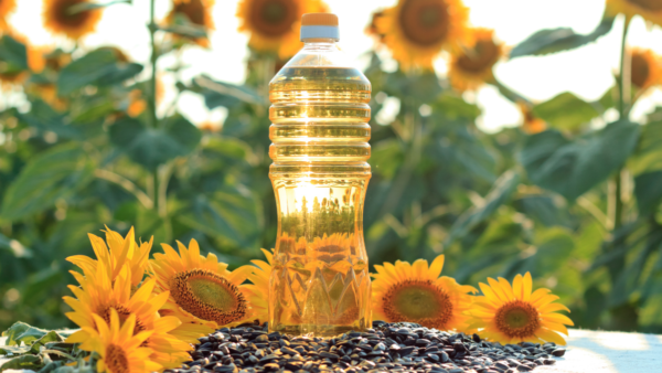 High quality sunflower oil wholesalers sunflower oil price bulk - Image 5