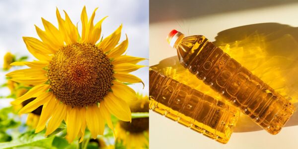 High quality sunflower oil wholesalers sunflower oil price bulk - Image 6