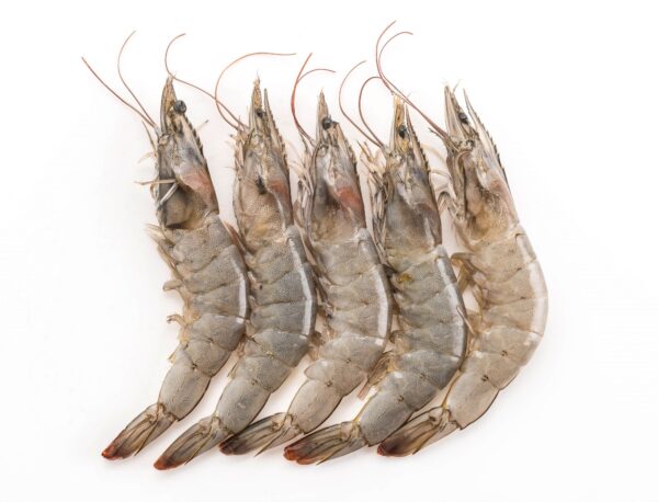 Frozen Fresh Shrimp in Reasonable price Well Trimmed Shrimp - Image 11