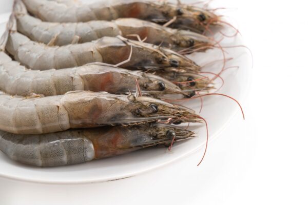 Frozen Fresh Shrimp in Reasonable price Well Trimmed Shrimp - Image 12