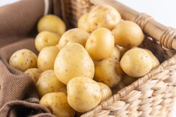 Red Potato New Crop delicious 100% halal Potato at low price - Image 9