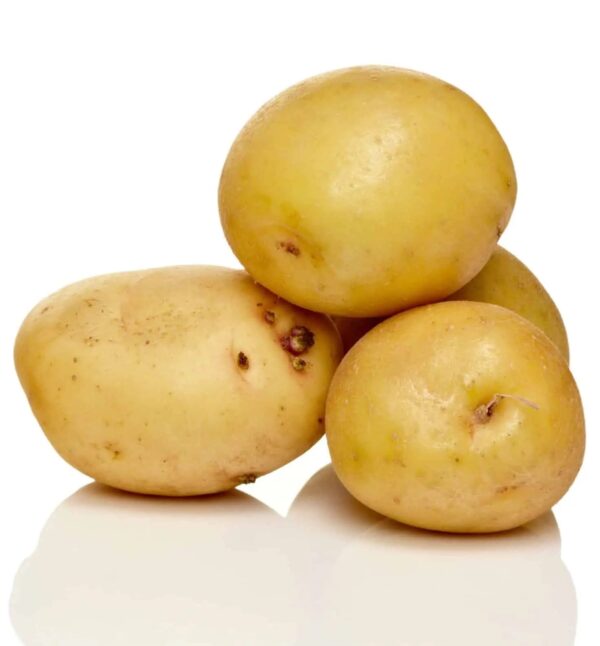 Fresh Potato New Crop Natural Origin Weight Holland Potato - Image 13